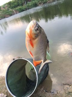 QQ图片20161007232005.jpg